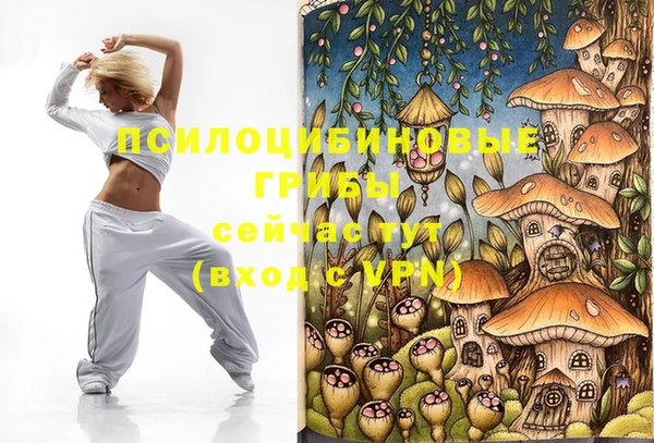 a pvp Строитель
