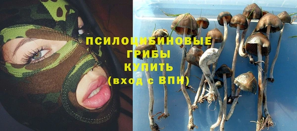a pvp Строитель