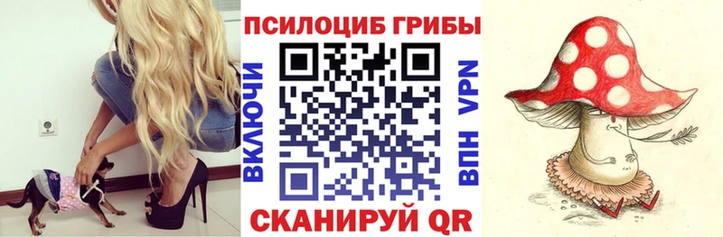 хочу Чухлома Псилоцибиновые грибы MAGIC MUSHROOMS